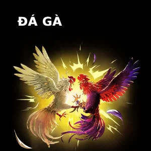Sảnh cược Đá Gà 999bet